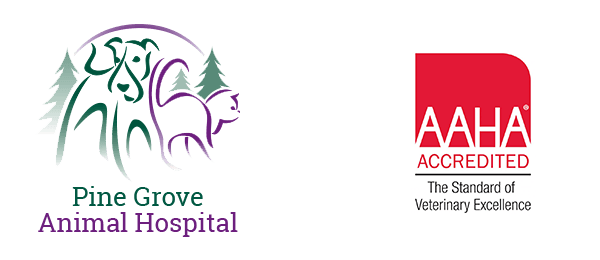 <span>Pine Grove Animal Hospital</span>
 logo