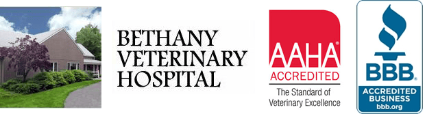 <span>Bethany Veterinary Hospital</span>
 logo