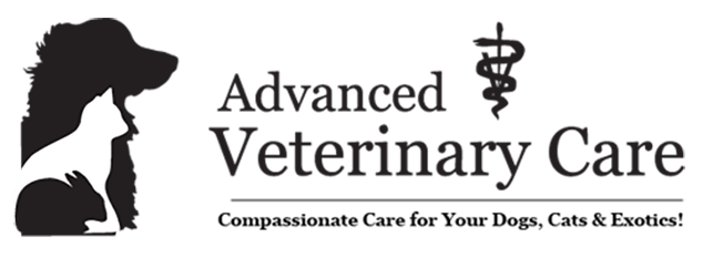 <span>Advanced Veterinary Care</span>
 logo