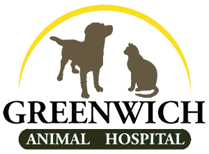 <span>Greenwich Animal Hospital PC</span>
 logo