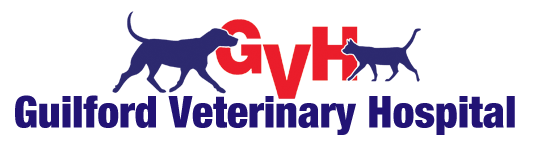 <span>Guilford Veterinary Hospital LLP</span>
 logo