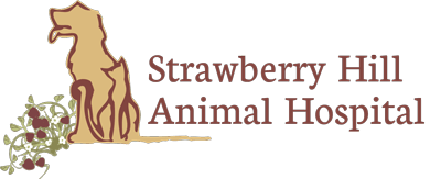 <span>Strawberry Hill Animal Hospital</span>
 logo