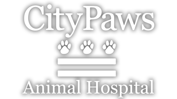 <span>City Paws</span>
 logo