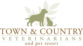 <span>Town & Country Veterinarians</span>
 logo