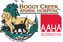 <span>Boggy Creek Animal Hospital</span>
 logo