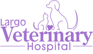 <span>Largo Veterinary Hospital</span>
 logo