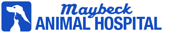 <span>Maybeck Animal Hospital</span>
 logo