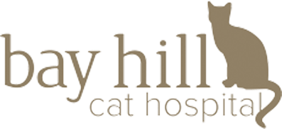 <span>Bay Hill Cat Hospital</span>
 logo