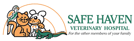 <span>Safe Haven Veterinary Hospital</span>
 logo