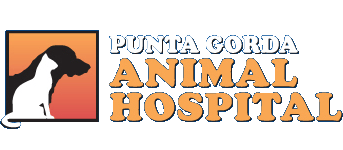 <span>Punta Gorda Animal Hospital</span>
 logo