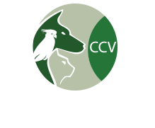 <span>Country Chase Veterinary</span>
 logo