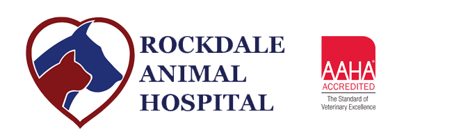 <span>Rockdale Animal Hospital Inc</span>
 logo