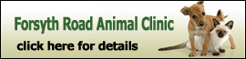 <span>Forsyth Road Animal Clinic</span>
 logo