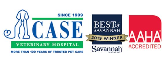 <span>Case Veterinary Hospital</span>
 logo