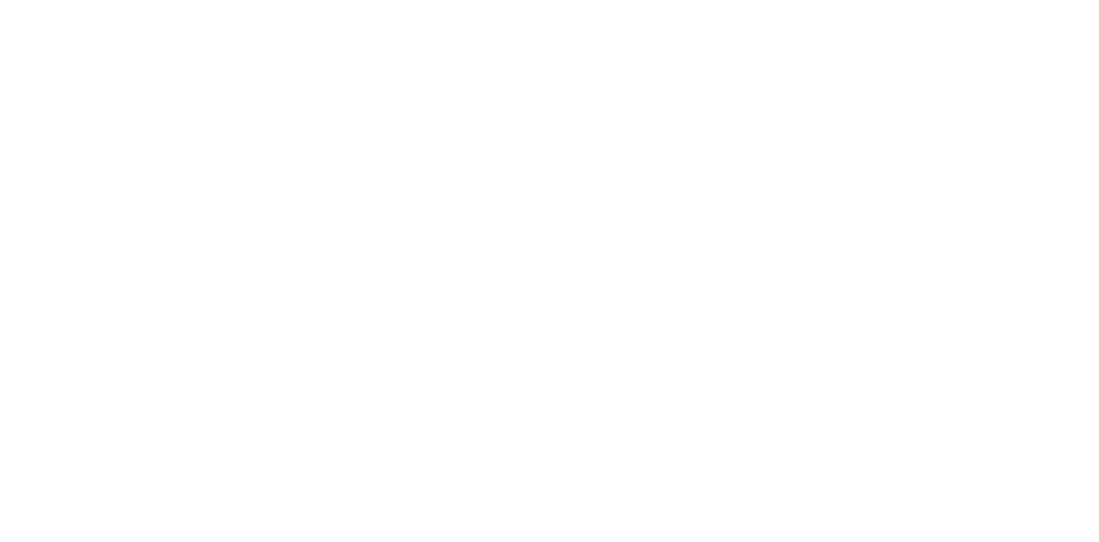 <span>Cumming Veterinary Clinic </span>
 logo