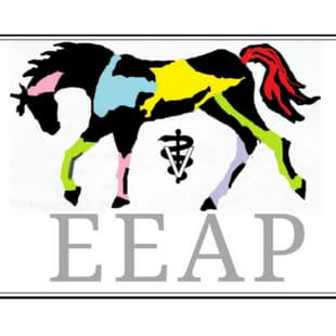 <span>Exclusively Equine Ambulatory Practice</span>
 logo