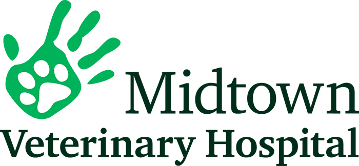 <span>Midtown Veterinary Hospital</span>
 logo