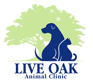 <span>Live Oak Animal Clinic</span>
 logo