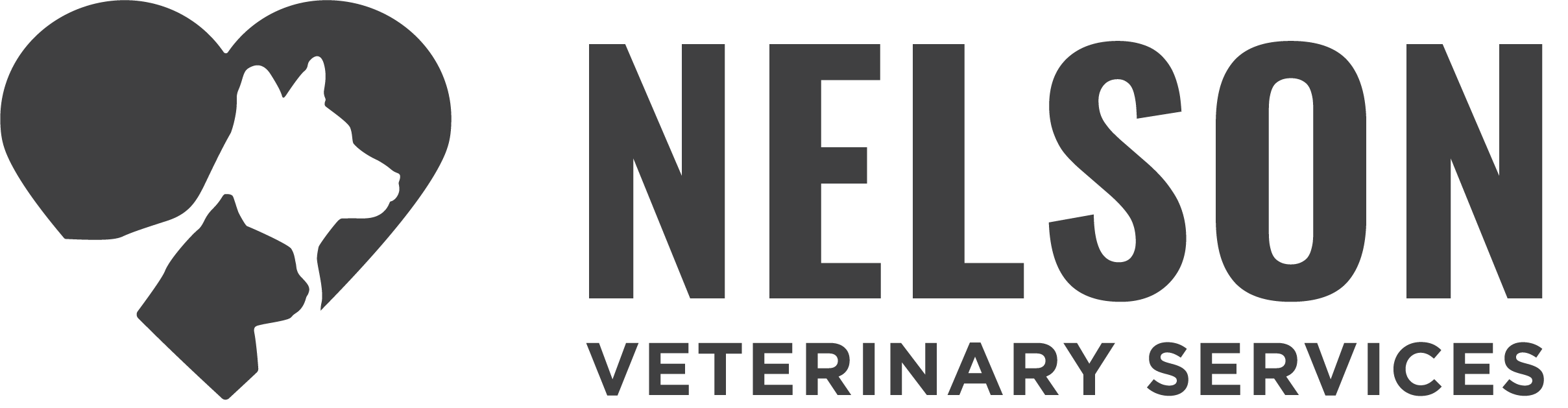 <span>Nelson Veterinary Services</span>
 logo