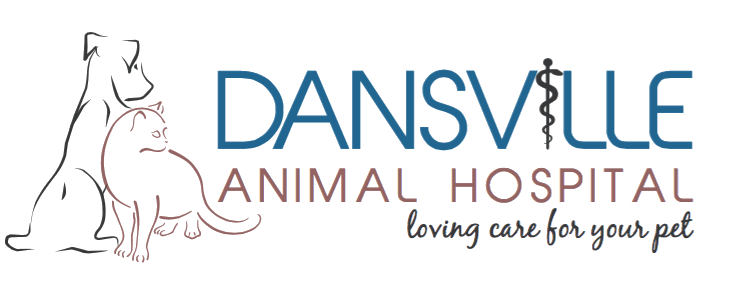 <span>Dansville Animal Hospital</span>
 logo