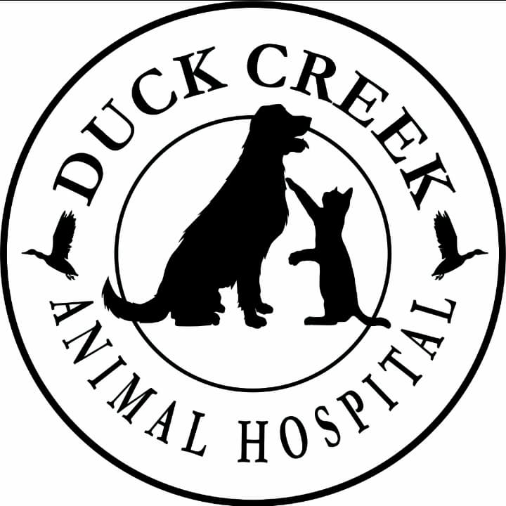 <span>Duck Creek Animal Hospital</span>
 logo