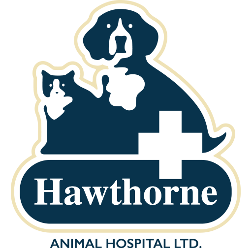 <span>Hawthorne Animal Hospital</span>
 logo