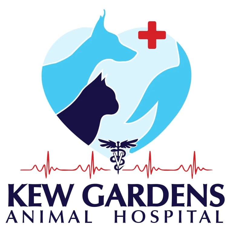 <span>Kew Gardens Animal Hospital</span>
 logo