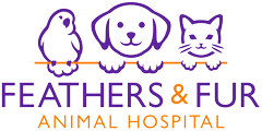 <span>Feathers & Fur Animal Hospital</span>
 logo