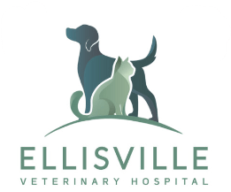 <span>Ellisville Veterinary Hospital</span>
 logo