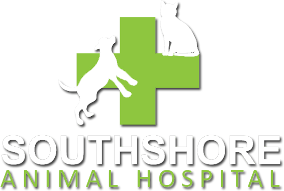 <span>Southshore Animal Hospital</span>
 logo