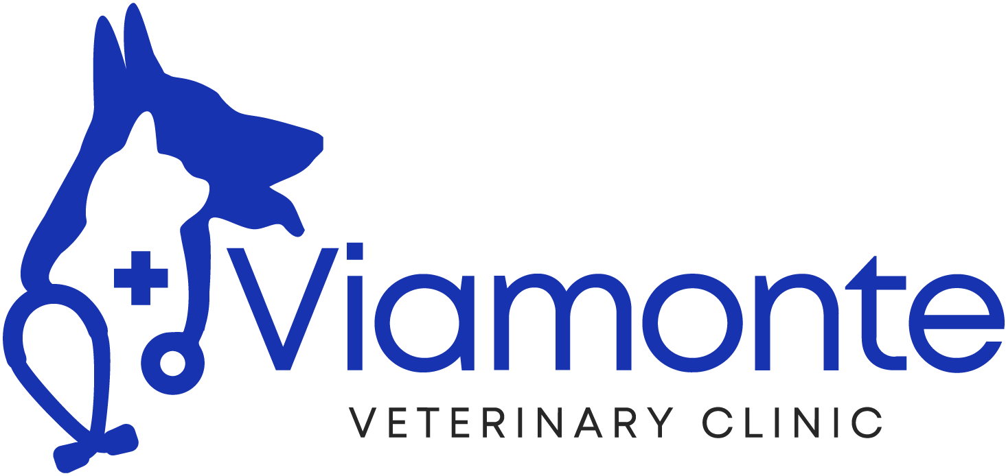 <span>Viamonte Veterinary Clinic</span>
 logo