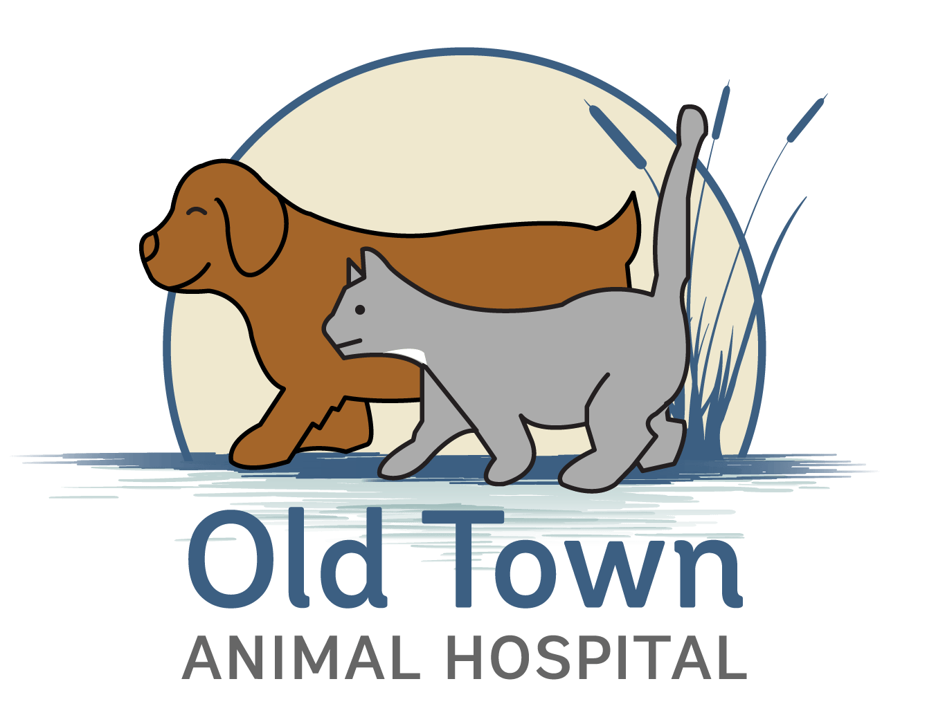 <span>Old Town Animal Hospital</span>
 logo