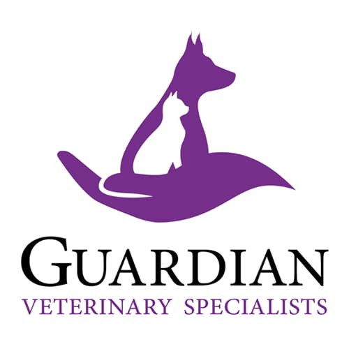 <span>Guardian Veterinary Specialists</span>
 logo