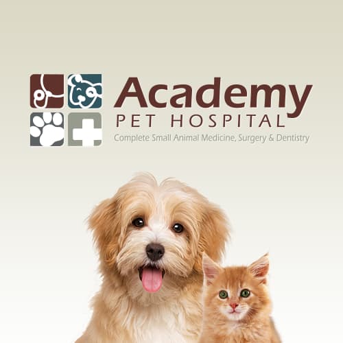 Academy animal best sale hospital hours