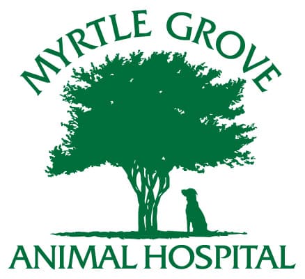 <span>Myrtle Grove Animal Hospital</span>
 logo