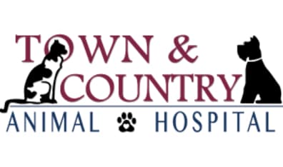 <span>Town & Country Animal Hospital</span>
 logo