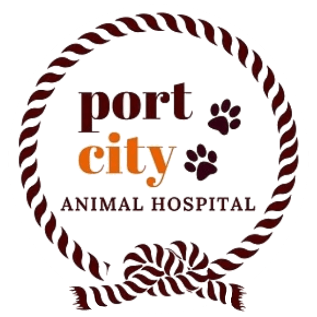 <span>Port City Animal Hospital</span>
 logo