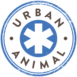 <span>Urban Animal - Downtown</span>
 logo