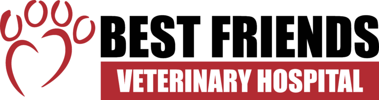 <span>Best Friends Veterinary Hospital</span>
 logo