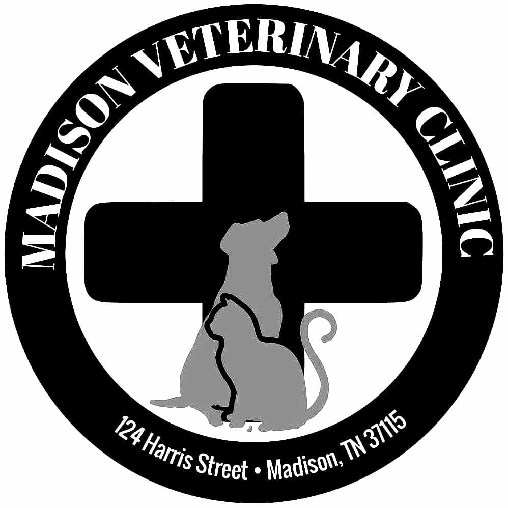 <span>Madison Veterinary Clinic</span>
 logo