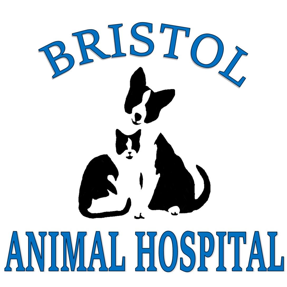 <span>Bristol Animal Hospital</span>
 logo