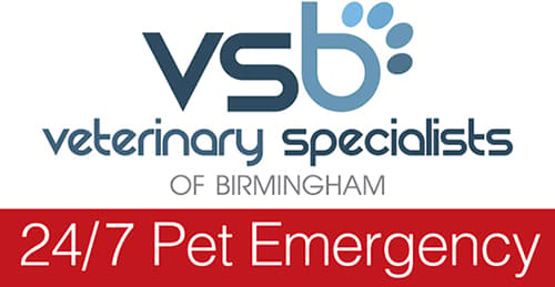 <span>Veterinary Specialists of Birmingham</span>
 logo