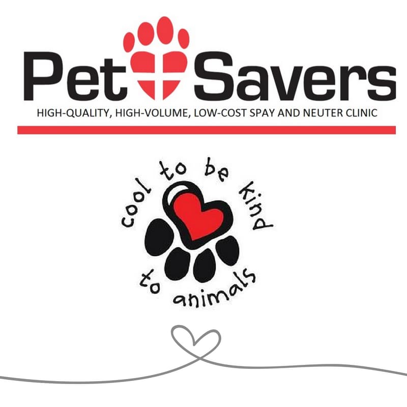 <span>Pet Savers Low-Cost Spay & Neuter Clinic</span>
 logo