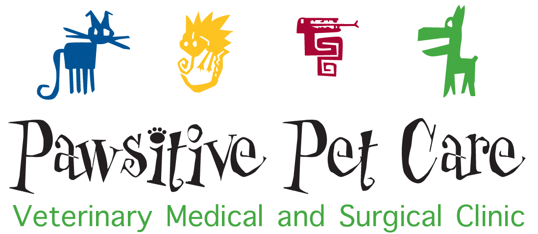 <span>Pawsitive Pet Care</span>
 logo