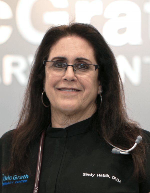 Dr. Sindy Habib