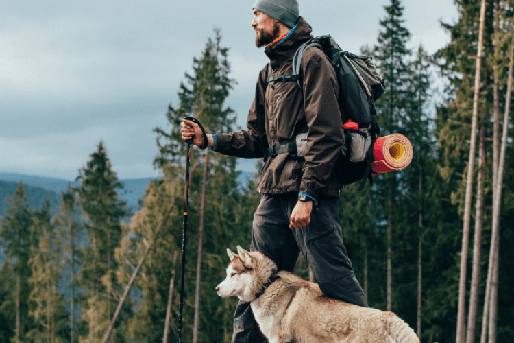 Dog hiking with owner