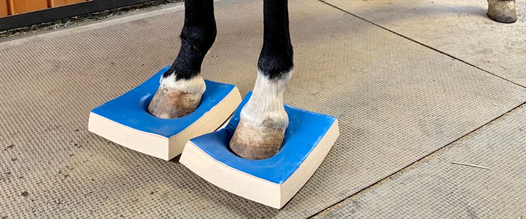 The Power of SURE FOOT® Stability Pads and Vitafloor® Vibration Therapy in Equine Care