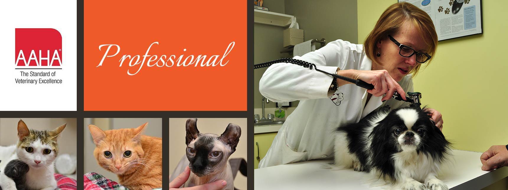 southgate animal hospital michigan