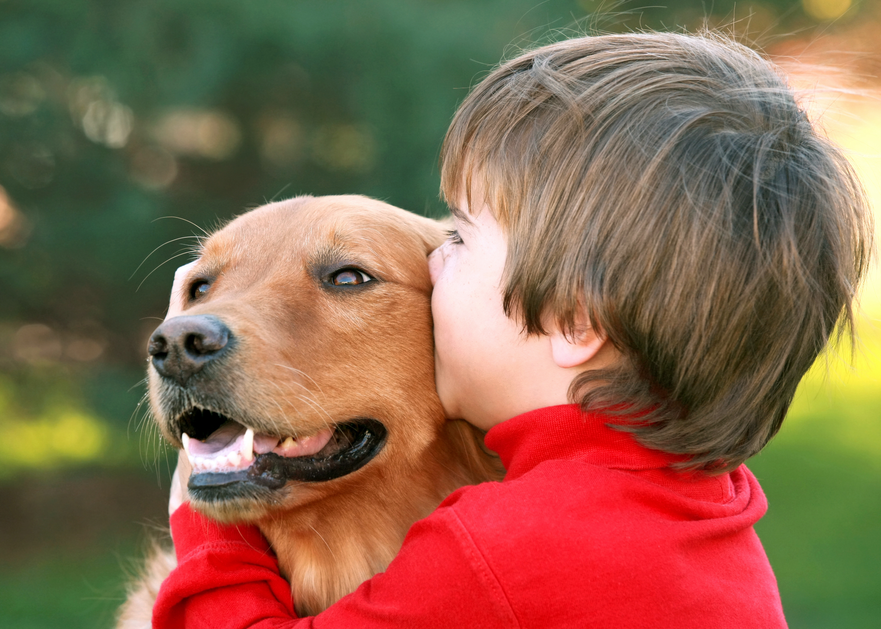 Любимая собака 1 6. Собака друг человека. Домашние животные для детей. Люди и животные. Собака для детей.