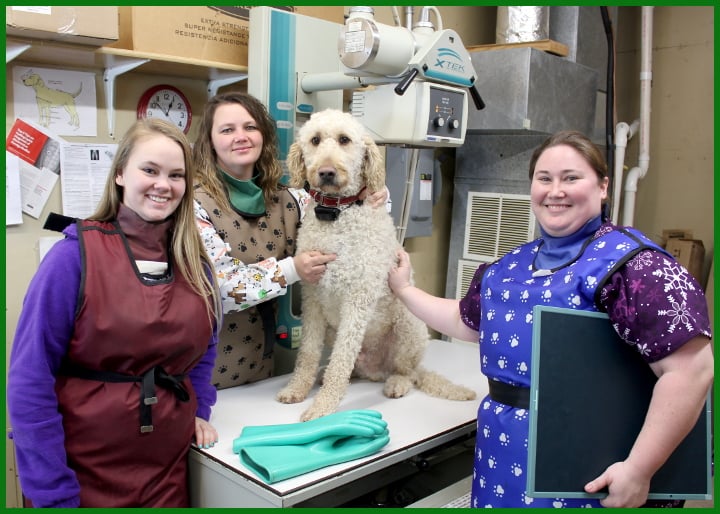 Osseo Veterinary Clinic – Osseo, WI